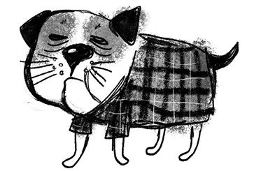 Иллюстрация к книге — Удивительные истории про собак, котов и даже хомяков [i_027.webp]