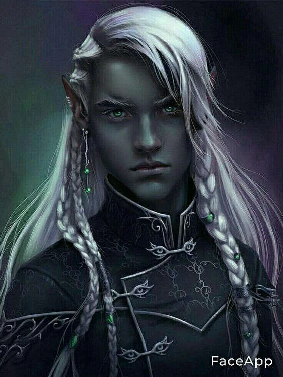 Иллюстрация к книге — Брак по драконьему обычаю, или с Новым Гадом, наследница! [book-illustration-8.webp]