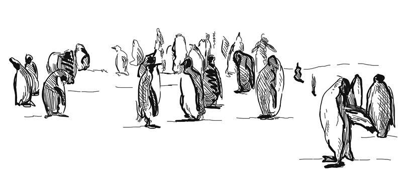 Иллюстрация к книге — Рассвет и лед [i_003.webp]