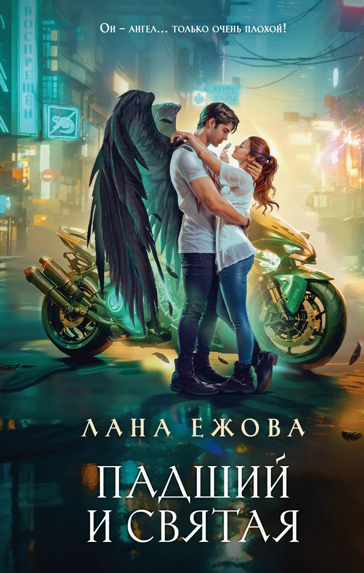 Книга Падший и Святая