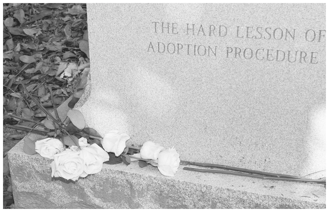 Иллюстрация к книге — Книга украденных детей. Американская история преступления, которое длилось 26 лет [i_031.webp]