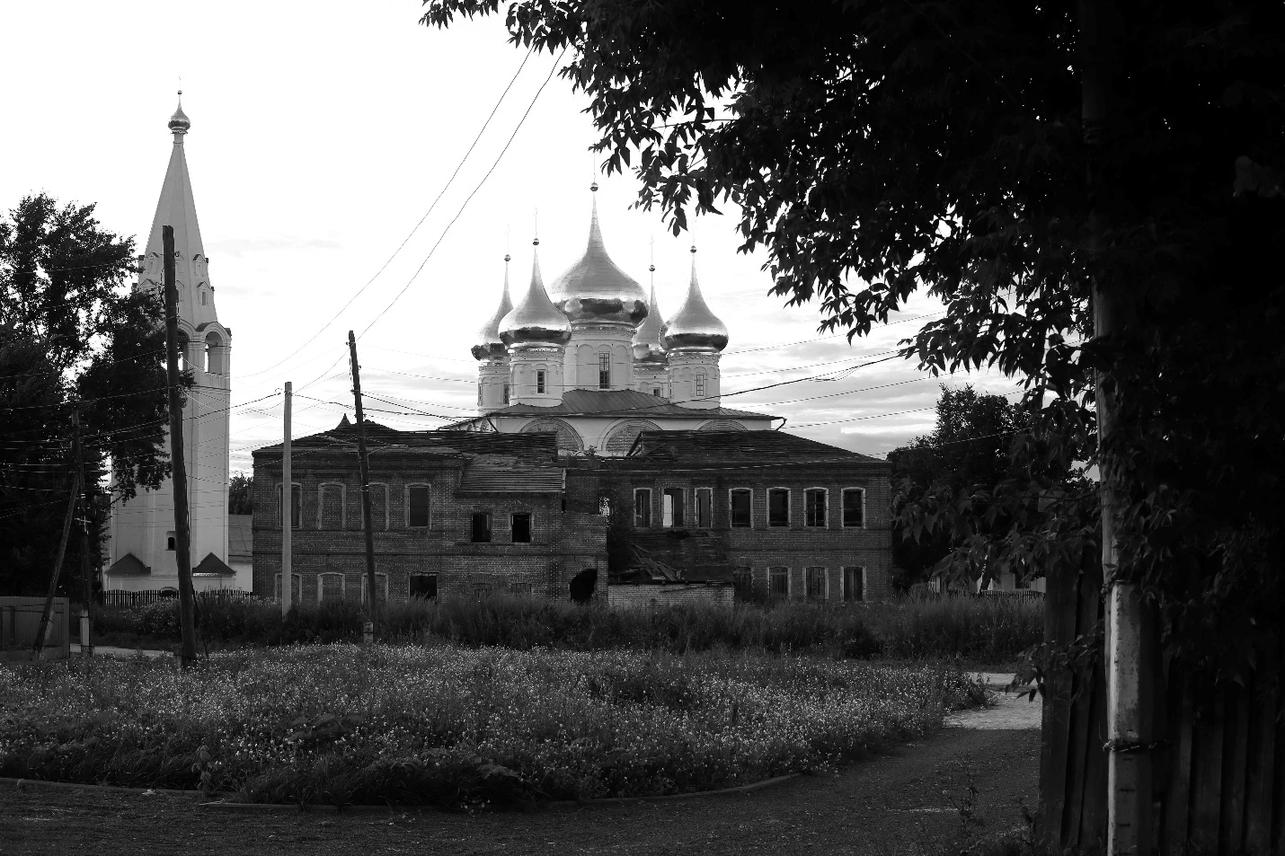 Иллюстрация к книге — Кот мяукнул в третий раз [_7.webp]