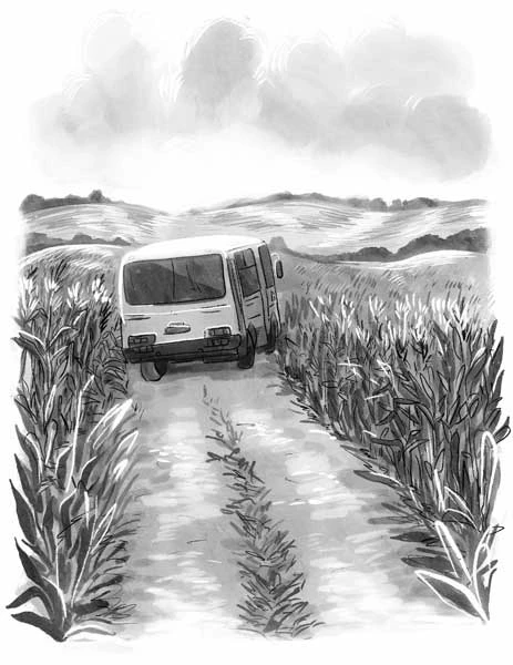 Иллюстрация к книге — Рожденная быть второй [i_008.webp]