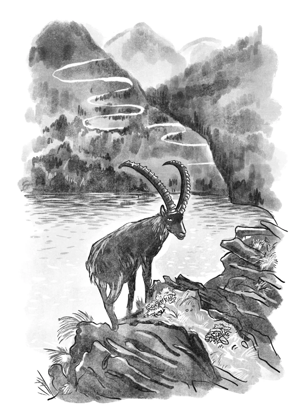 Иллюстрация к книге — Мать велела герань не поливать [i_008.webp]