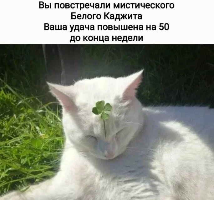 Иллюстрация к книге — Приманка Хаоса 18 18+ [book-illustration-1.webp]