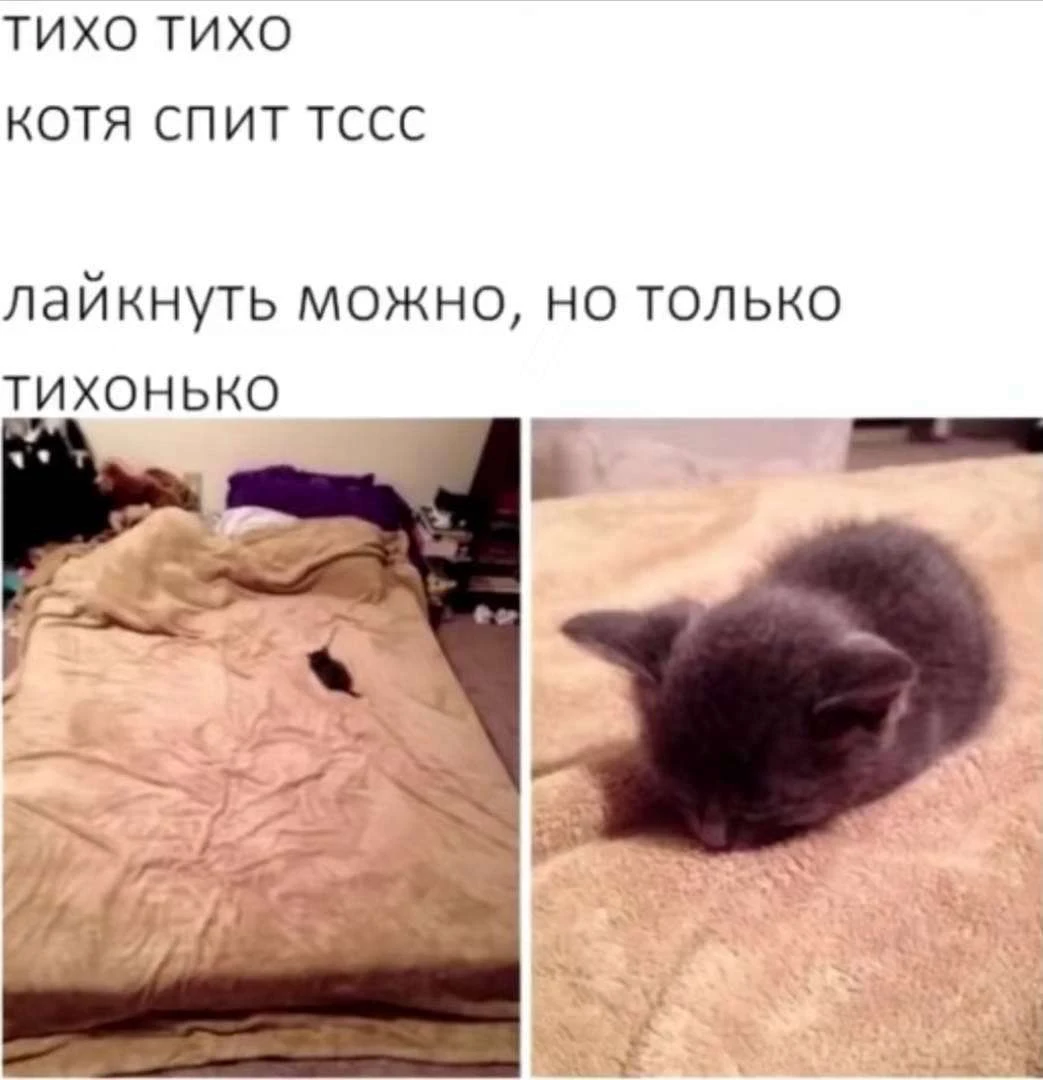 Иллюстрация к книге — Приманка Хаоса 06 [book-illustration-1.webp]