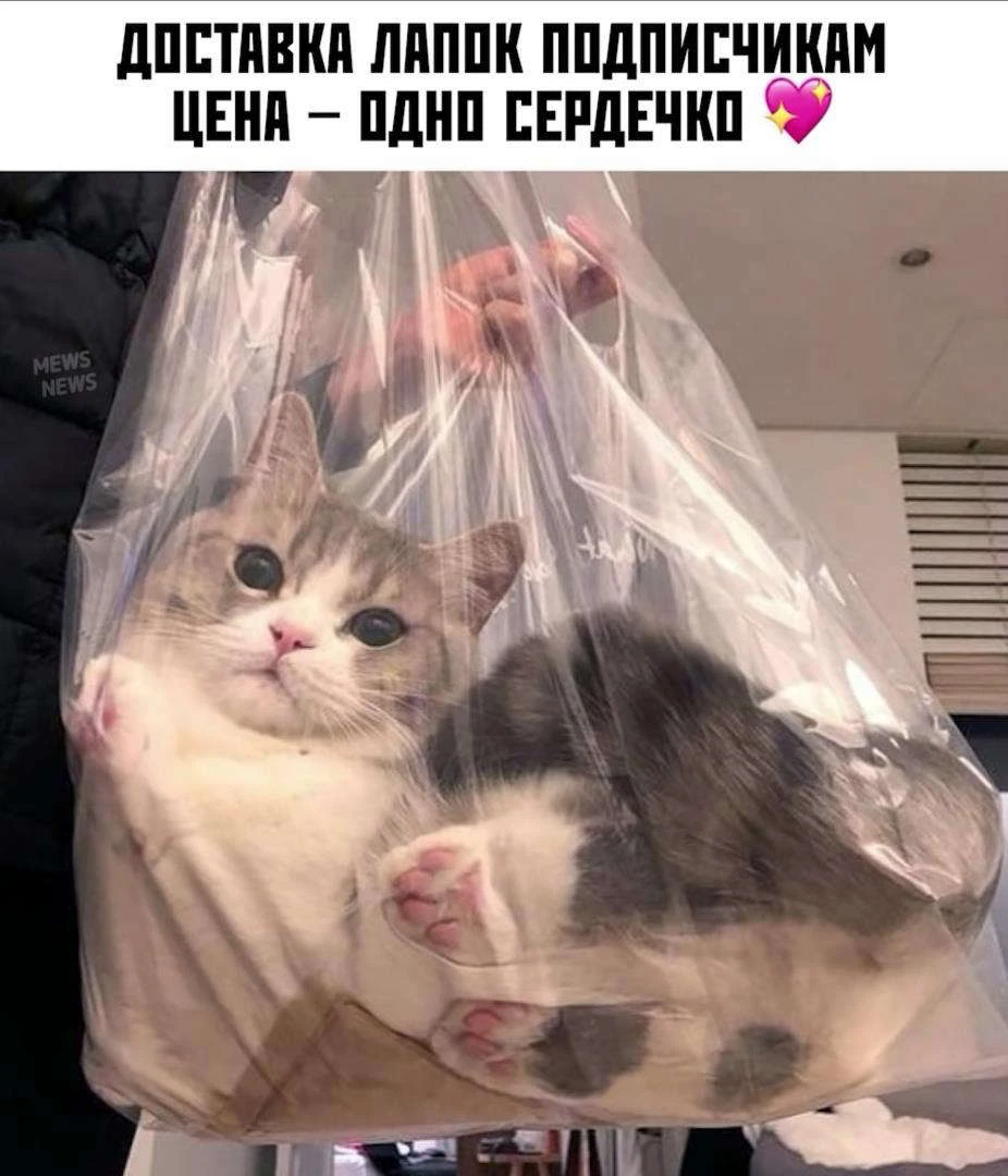 Иллюстрация к книге — Приманка Хаоса 05 [book-illustration-1.webp]