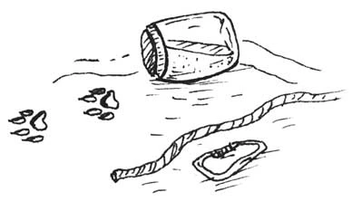 Иллюстрация к книге — Дом на отшибе [i_005.webp]