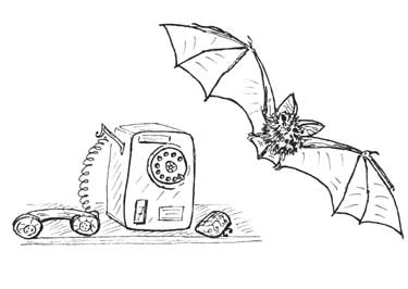 Иллюстрация к книге — Дом на отшибе [i_010.webp]