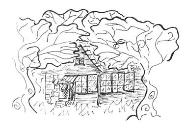 Иллюстрация к книге — Дом на отшибе [i_014.webp]