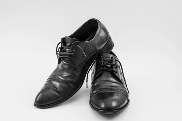 Иллюстрация к книге — Цифровая гигиена. Том 2 [book-illustration-248.webp]