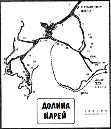 Иллюстрация к книге — Увидеть огромную кошку [book-illustration-3.webp]