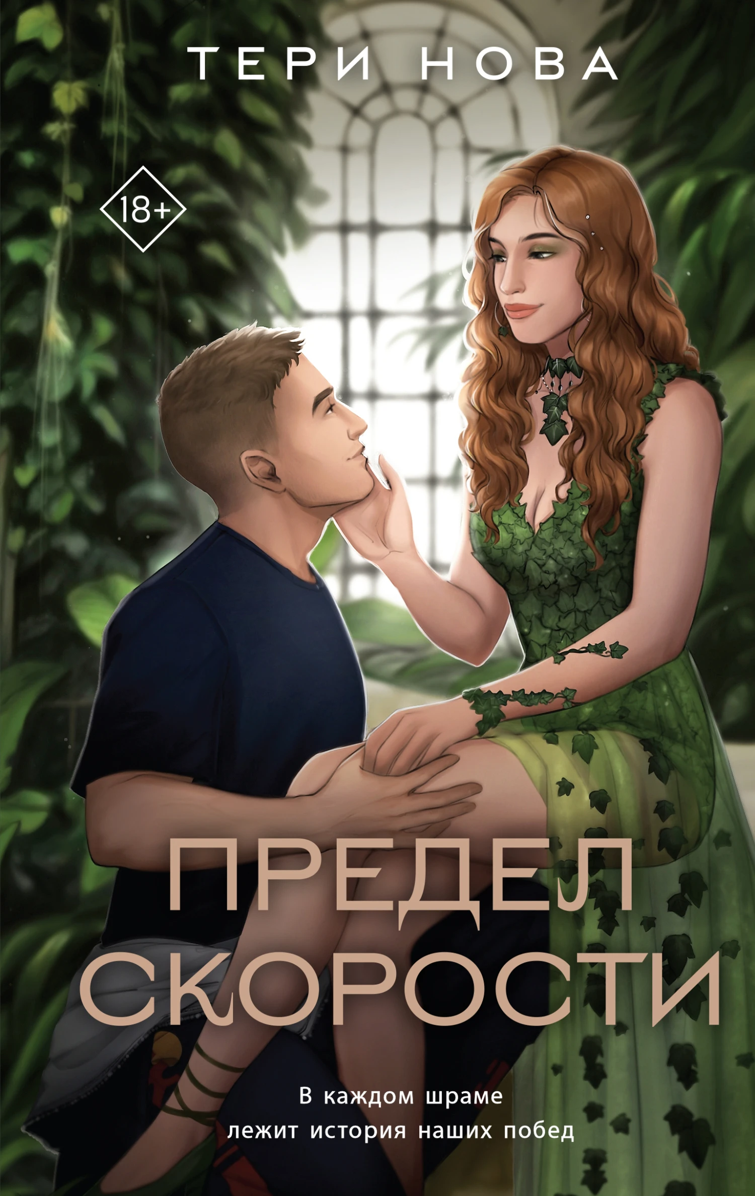 Книга Предел скорости