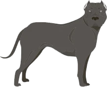 Иллюстрация к книге — Глиняные сердца [i_001.webp]