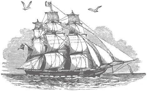 Иллюстрация к книге — Ведьма правды [i_003.webp]