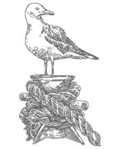 Иллюстрация к книге — Ведьма правды [i_008.webp]