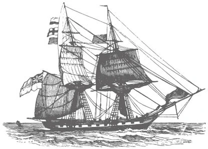 Иллюстрация к книге — Ведьма правды [i_009.webp]