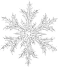 Иллюстрация к книге — Принц льда и крови [i_087.webp]