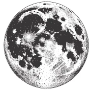 Иллюстрация к книге — Ночь масок и ножей [i_044.webp]