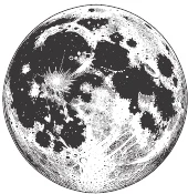 Иллюстрация к книге — Ночь масок и ножей [i_057.webp]