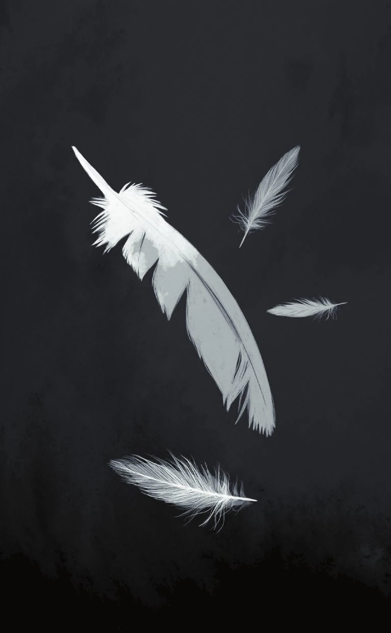 Иллюстрация к книге — Пыльные перья [i_002.webp]