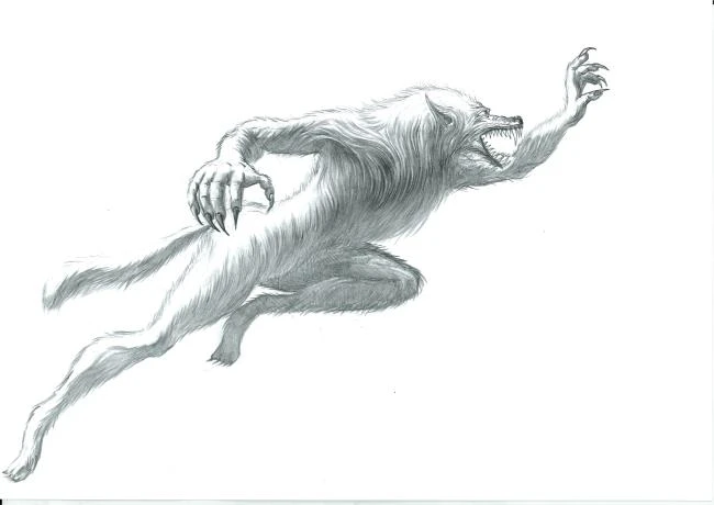 Иллюстрация к книге — Закон дитто [i_002.webp]