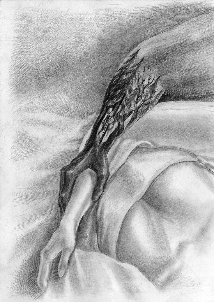 Иллюстрация к книге — Право на дом [i_008.webp]