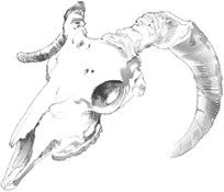 Иллюстрация к книге — Цукумогами. Невидимые беды [i_004.webp]