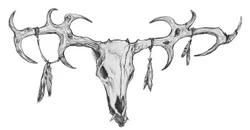 Иллюстрация к книге — Безмолвный Крик [i_006.webp]