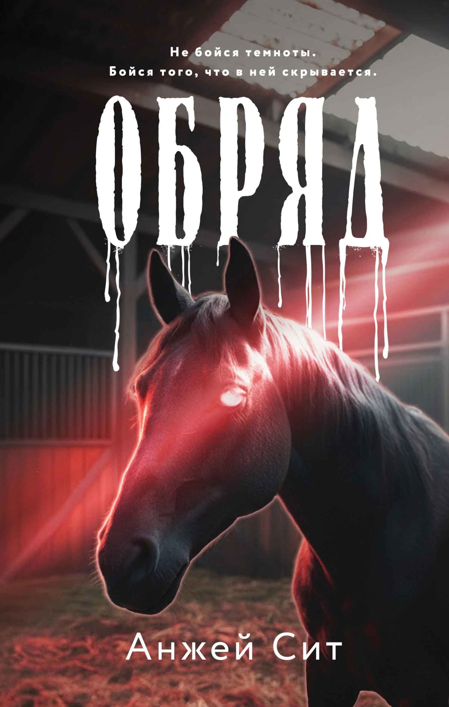 Книга Обряд