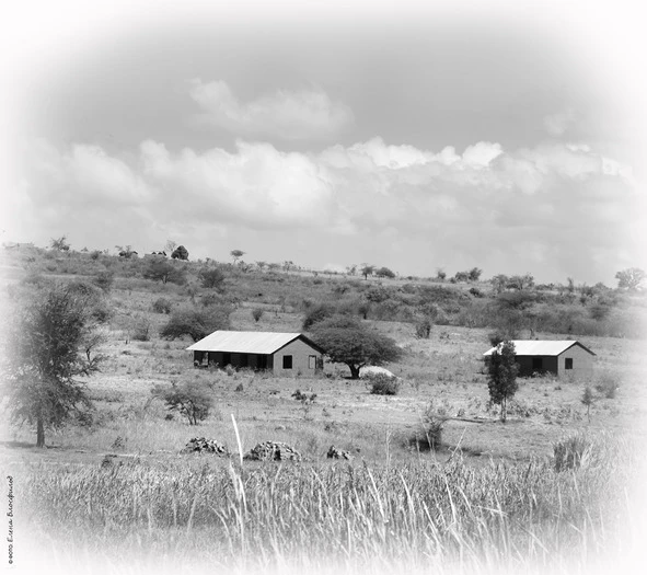 Иллюстрация к книге — Танзания без тормозов, или Вынос мозга по-африкански. Записки путешественника [book-illustration-12.webp]