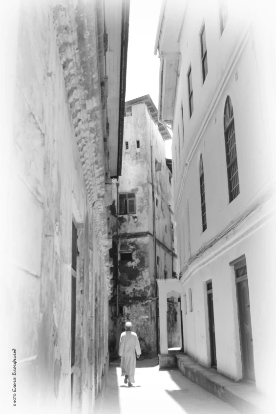 Иллюстрация к книге — Танзания без тормозов, или Вынос мозга по-африкански. Записки путешественника [book-illustration-19.webp]