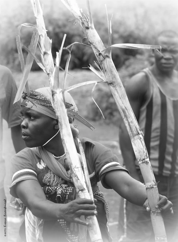 Иллюстрация к книге — Танзания без тормозов, или Вынос мозга по-африкански. Записки путешественника [book-illustration-53.webp]