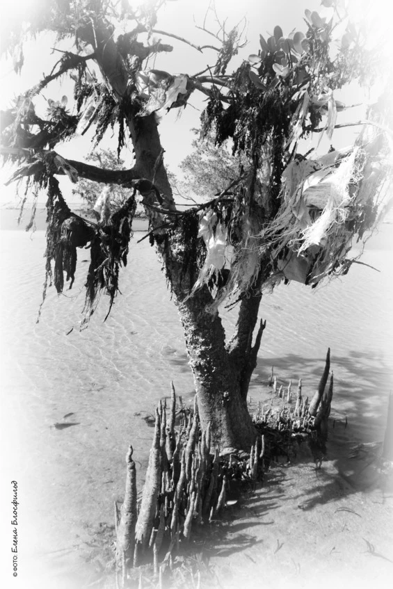 Иллюстрация к книге — Танзания без тормозов, или Вынос мозга по-африкански. Записки путешественника [book-illustration-57.webp]