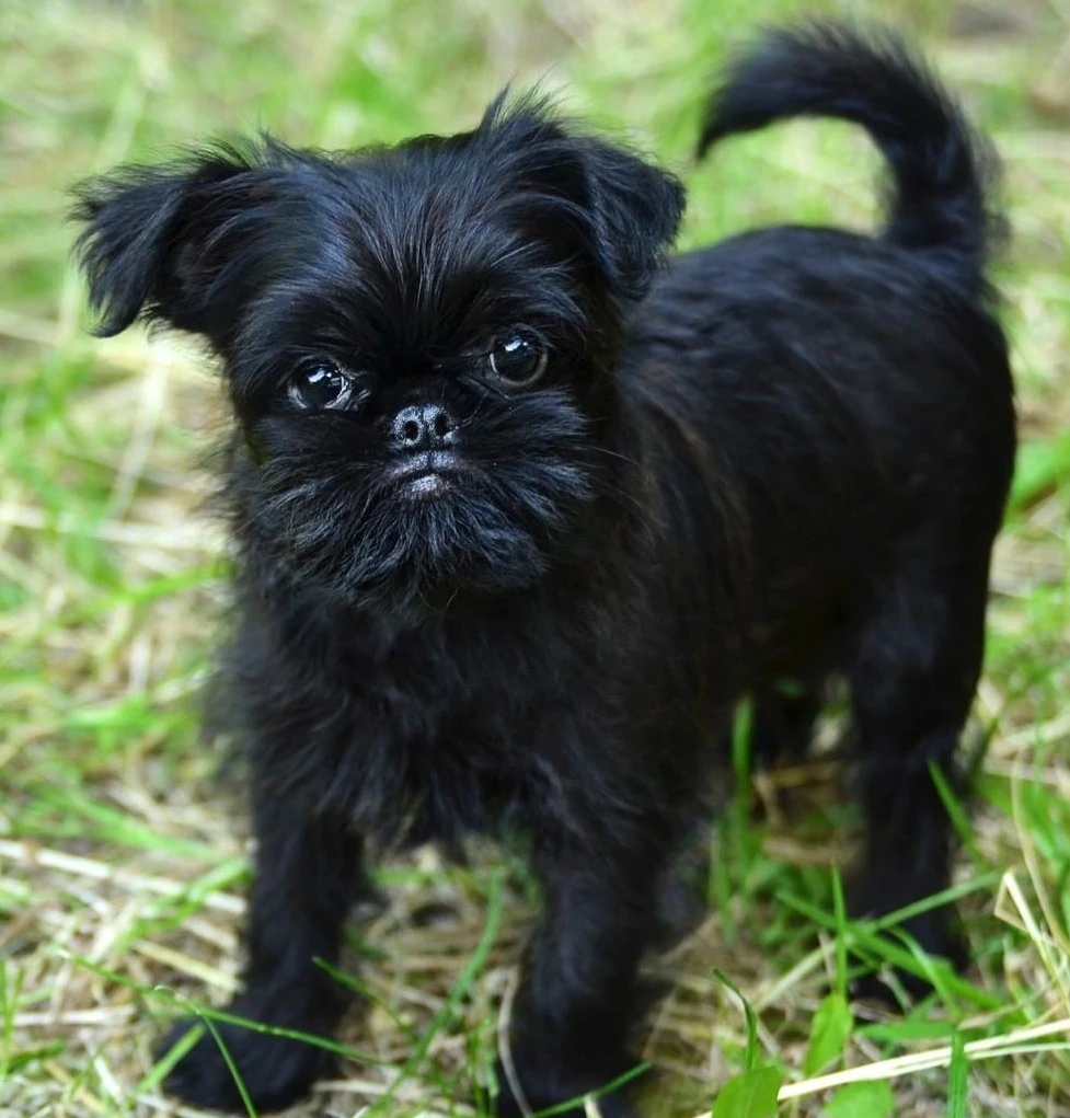 Иллюстрация к книге — Большая Любовь отца-одиночки [book-illustration-4.webp]