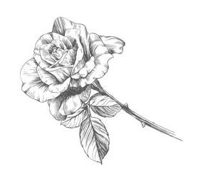 Иллюстрация к книге — Этот безумный пролог никогда не закончится. Том 1 [i_003.webp]