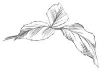 Иллюстрация к книге — Этот безумный пролог никогда не закончится. Том 1 [i_009.webp]