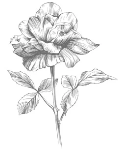 Иллюстрация к книге — Этот безумный пролог никогда не закончится. Том 1 [i_013.webp]