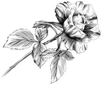 Иллюстрация к книге — Этот безумный пролог никогда не закончится. Том 2 [i_009.webp]