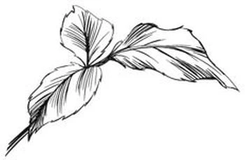 Иллюстрация к книге — Этот безумный пролог никогда не закончится. Том 2 [i_010.webp]