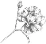 Иллюстрация к книге — Этот безумный пролог никогда не закончится. Том 3 [i_006.webp]