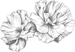 Иллюстрация к книге — Этот безумный пролог никогда не закончится. Том 3 [i_009.webp]