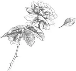 Иллюстрация к книге — Этот безумный пролог никогда не закончится. Том 3 [i_010.webp]