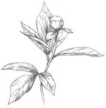 Иллюстрация к книге — Этот безумный пролог никогда не закончится. Том 3 [i_013.webp]