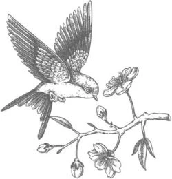 Иллюстрация к книге — Этот безумный пролог никогда не закончится. Том 3 [i_016.webp]