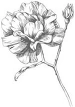 Иллюстрация к книге — Этот безумный пролог никогда не закончится. Том 3 [i_019.webp]