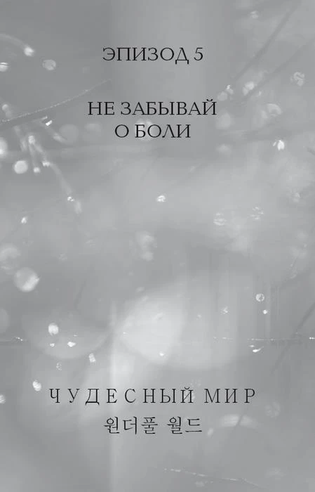 Иллюстрация к книге — Чудесный мир. Том 1 [i_006.webp]