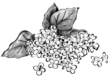 Иллюстрация к книге — Чёрт на ёлке и другие истории [i_004.webp]