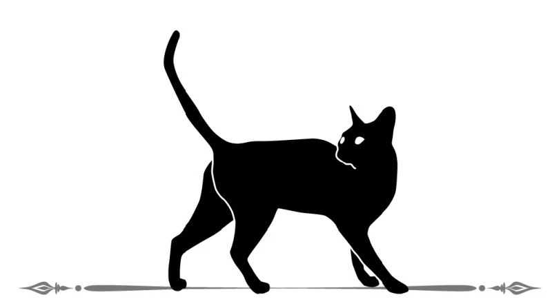 Иллюстрация к книге — Граф Аверин [i_004.webp]