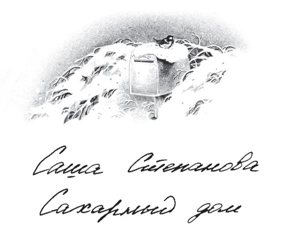 Иллюстрация к книге — Зимняя почта [book-illustration-2.webp]